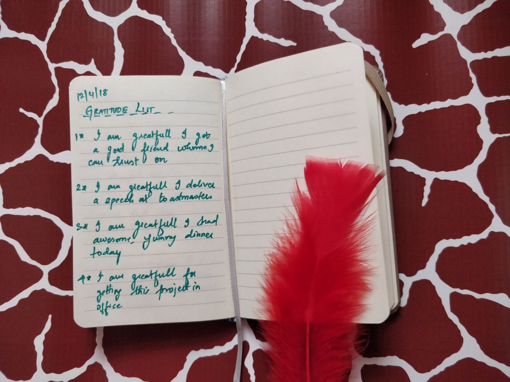 journal with feather